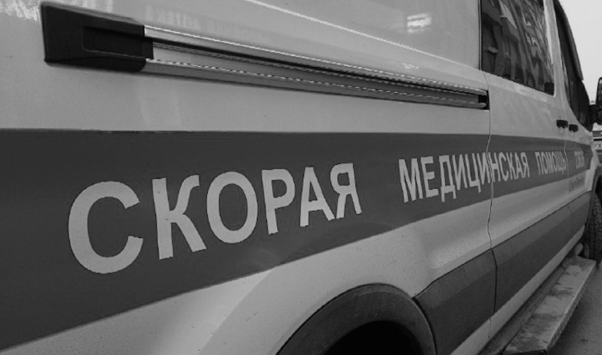 В аварии на трассе «Сортавала» погиб начальник администрации МО «Академическое» - tvspb.ru