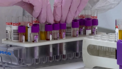 В Петербурге провели более 11,6 млн тестов на COVID