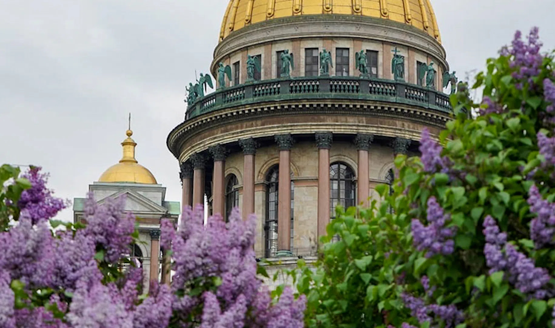 Чем заняться в спб