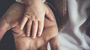 Деревья- памятники