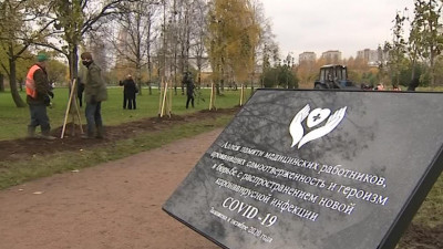 В Петербурге заложили аллею в память о погибших в период пандемии  медиках
