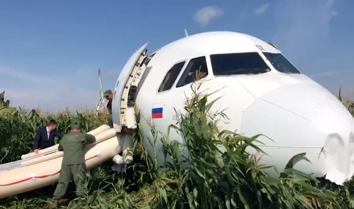 Пилоты посадили на поле. А321 Уральские авиалинии кукурузное поле. Дамир Юсупов самолет кукурузное поле. Аэробус а321 в кукурузном поле. 321 Airbus Уральские авиалинии кукурузное поле.