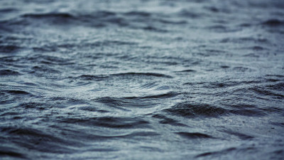 Эксперт рассказал, что даст Петербургу грузовое морское сообщение с Владивостоком