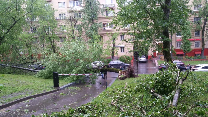 Шесть человек стали жертвами урагана в Москве - tvspb.ru