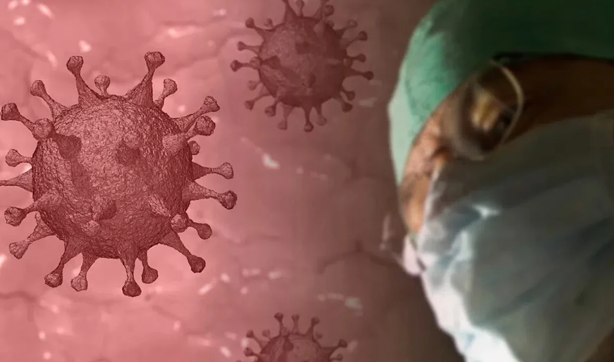 Российские ученые разработали новый способ поиска опасных мутаций коронавируса - tvspb.ru