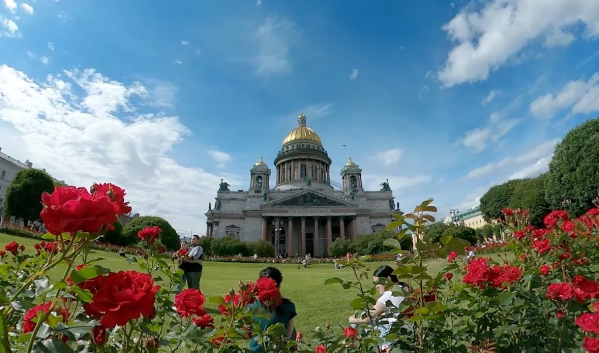 Петербург к Евро-2020 и ПМЭФ украсят почти полмиллиона цветов - tvspb.ru