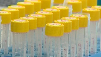 Эксперт: Вакцина от коронавируса будет стоить как вакцина от гриппа