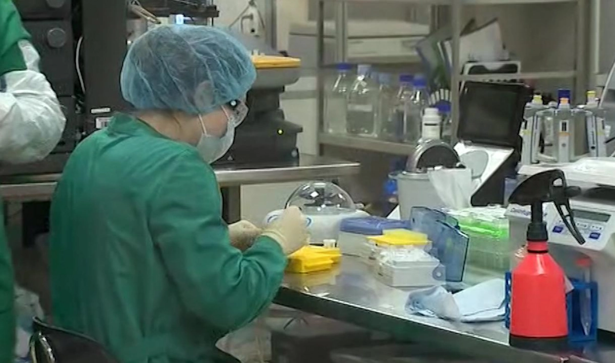 В России сделали более 143,5 тысяч лабораторных тестов на коронавирус - tvspb.ru
