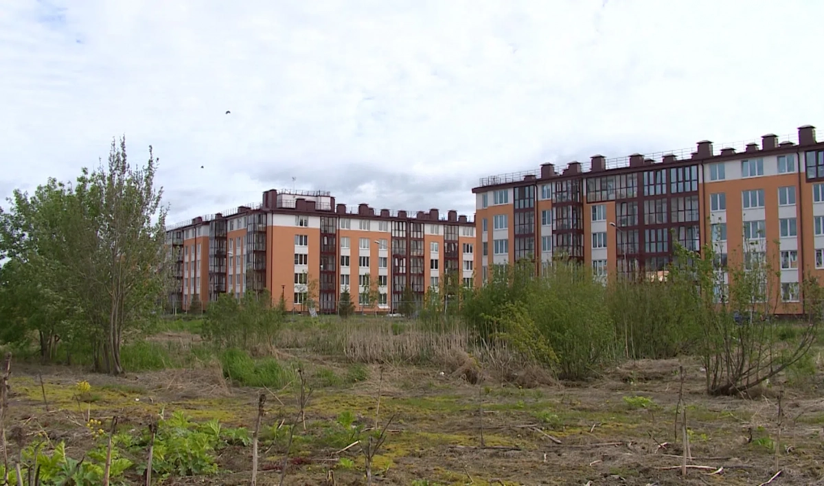 Эксперт рассказал, какие районы Ленобласти наиболее привлекательны для застройщиков - tvspb.ru