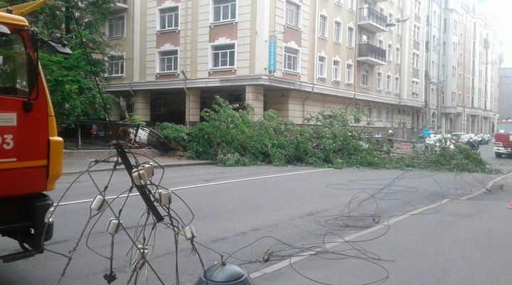 На Исполкомской, 10 упало дерево и оборвало провода - tvspb.ru