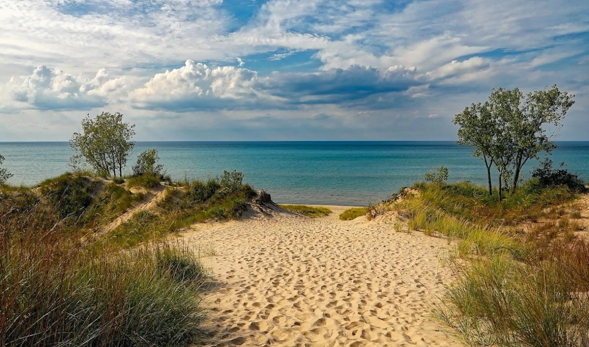 Восстановление пляжей у Финского залива начнется в 2021 году - tvspb.ru