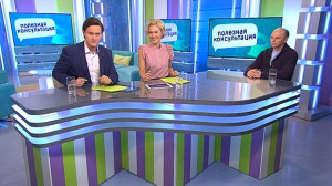 Как подготовить домашних питомцев к лету? Консультация ветеринара