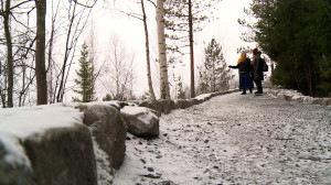 Туризм и COVID