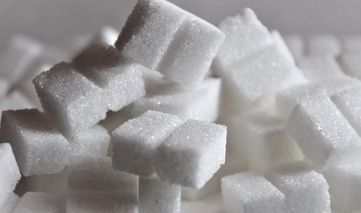 Россия приостановила экспорт сахара и зерна - tvspb.ru