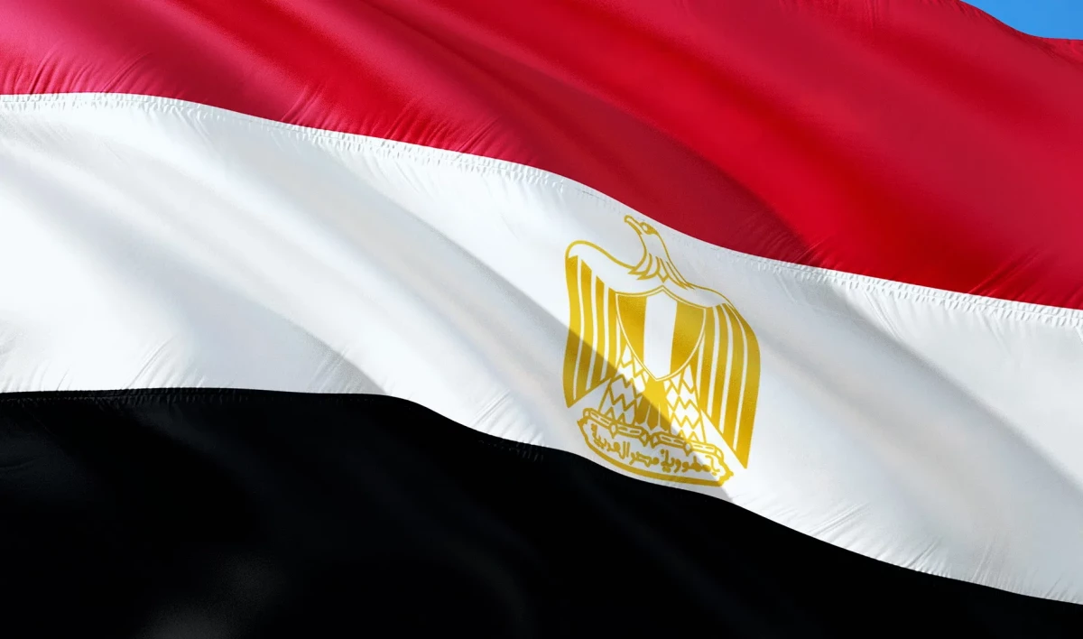 Российскую однокомпонентную вакцину «Спутник Лайт» одобрили в Египте - tvspb.ru