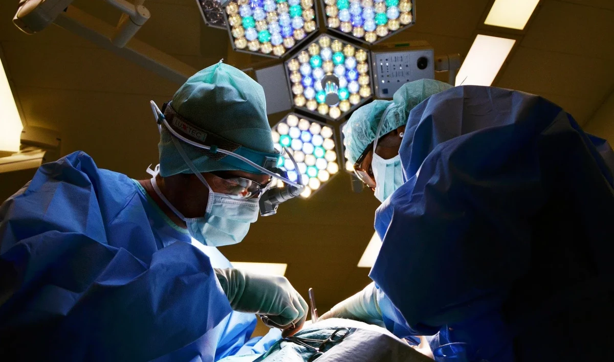 Почти 80 трансплантаций донорских органов сделали с начала года в Петербурге - tvspb.ru