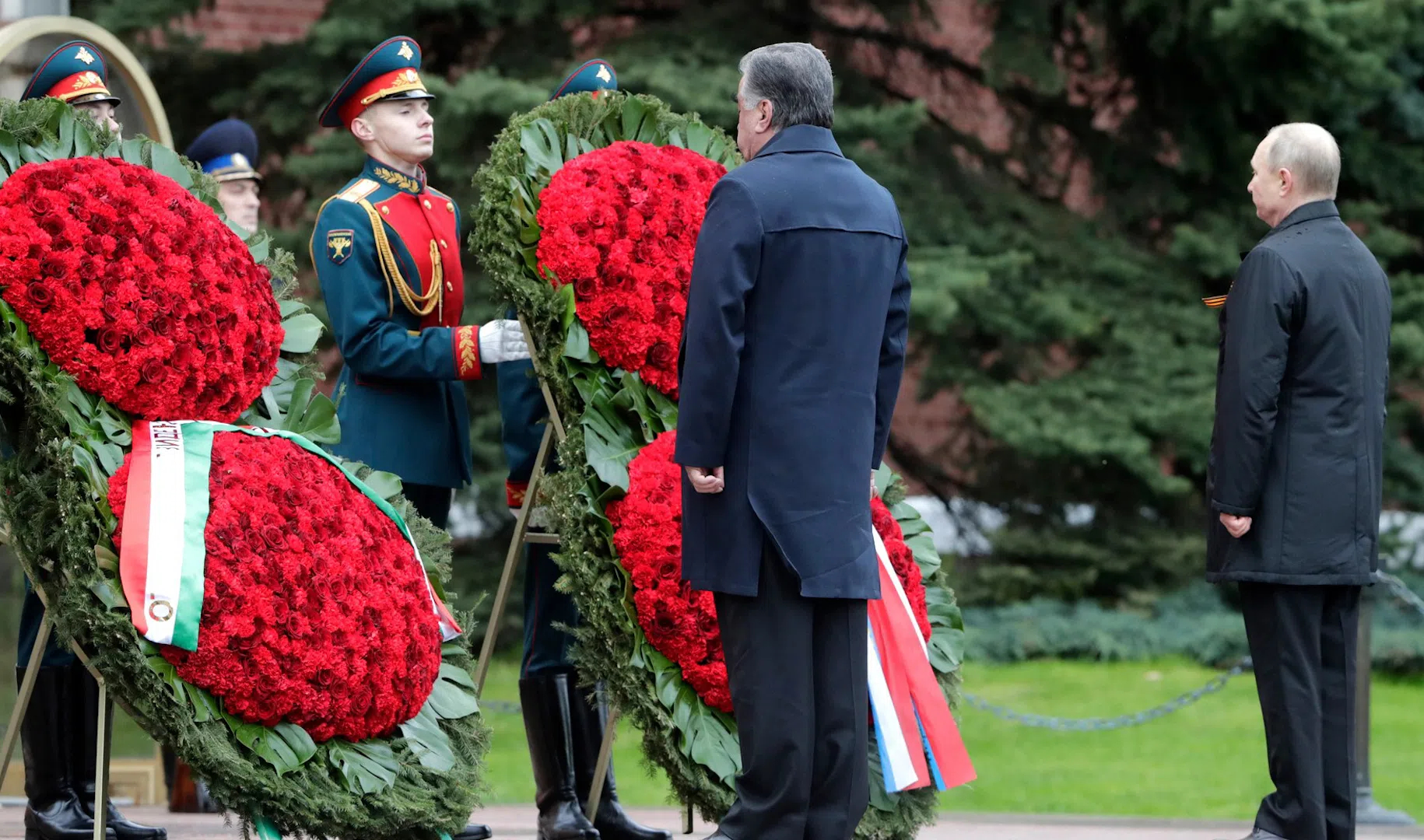 приносят цветы на могилу солдата к разбитому доту фото 101