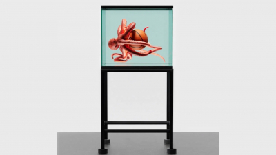 Эрмитаж открыл первую выставку в интернет-пространстве