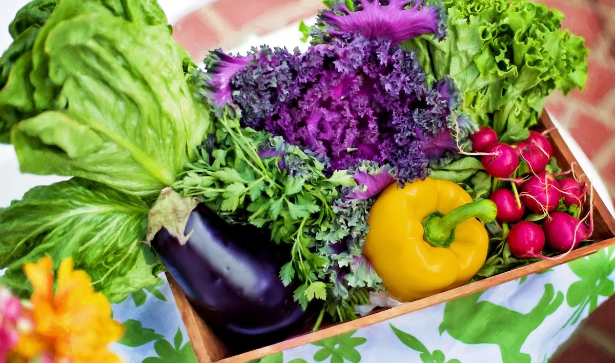 Петербуржцам рассказали, какие фрукты и овощи следует употреблять зимой - tvspb.ru