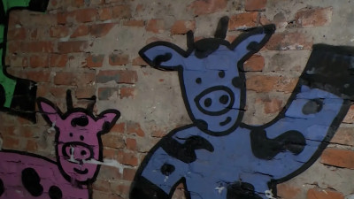 В сад Бенуа вернулась инсталляция современных художников «120 му»