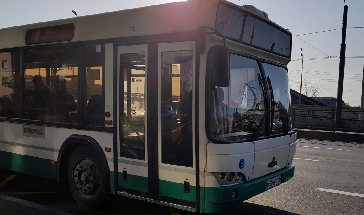 Новый автобусный маршрут соединит Лахтинский разлив и Юнтолово - tvspb.ru