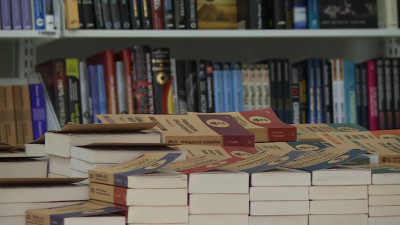 Проект «Книжные аллеи» поддержат субсидией из бюджета Петербурга