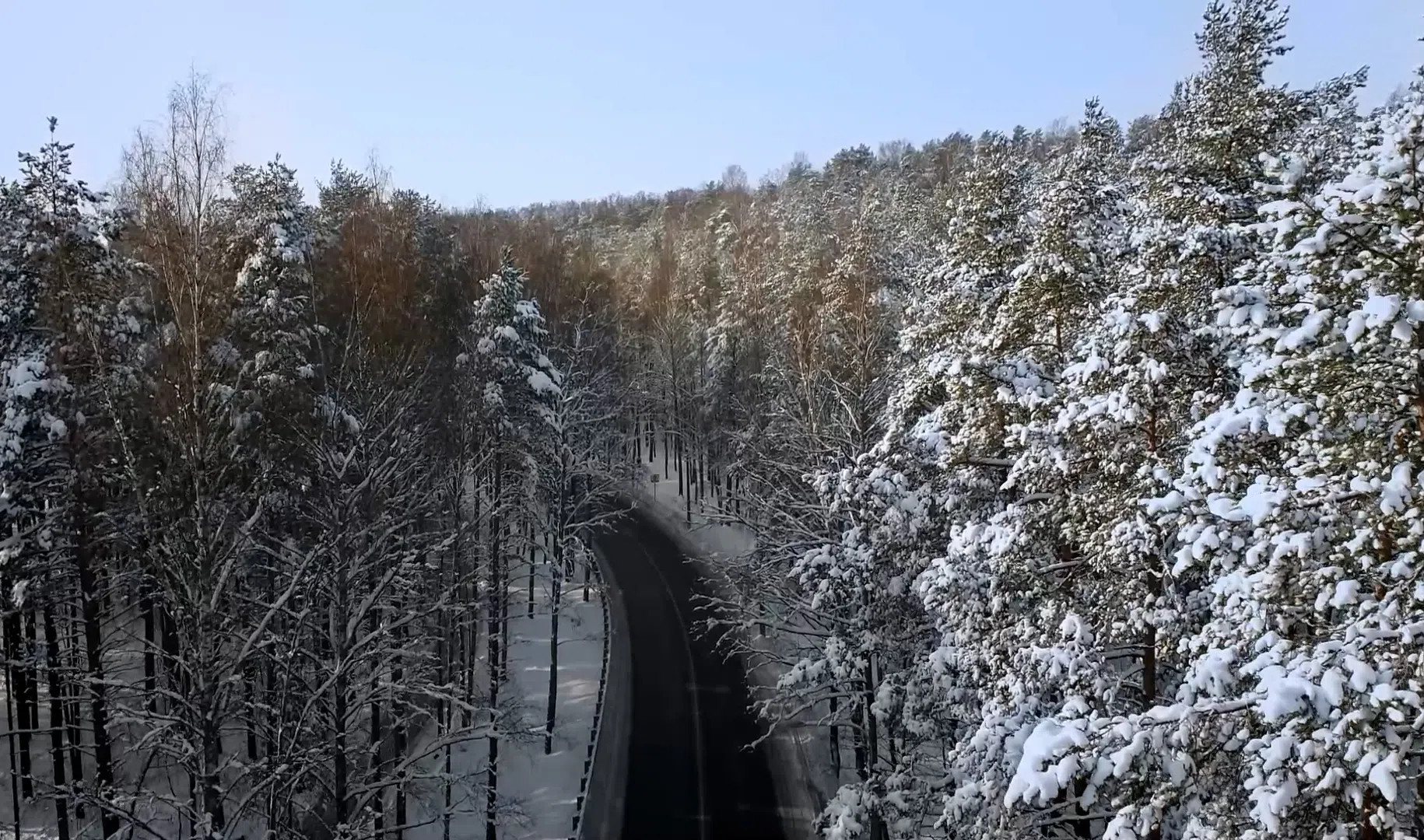 ленинградская область зимой. холодно в ленобласти. холодный день. вологда зимняя оттепель. холодно в петербурге ноябрь.