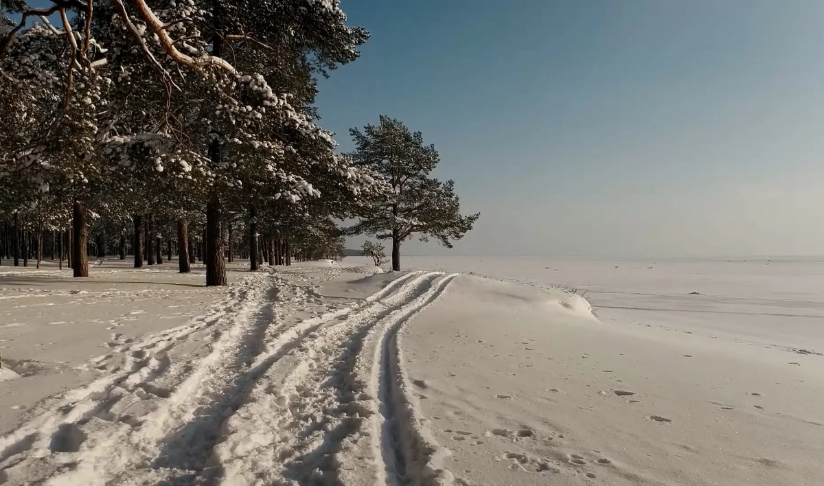 В Ленобласти высота снега достигла рекордной отметки с начала зимы - tvspb.ru