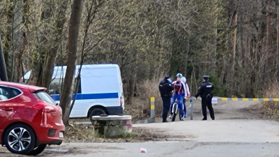 Солнечная погода – не повод нарушать режим самоизоляции. В Шуваловском парке ловят нарушителей