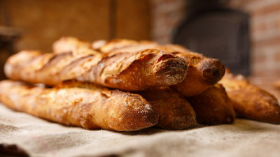 Сельхозпроизводителям Ленобласти разрешат открывать торговые киоски в Петербурге