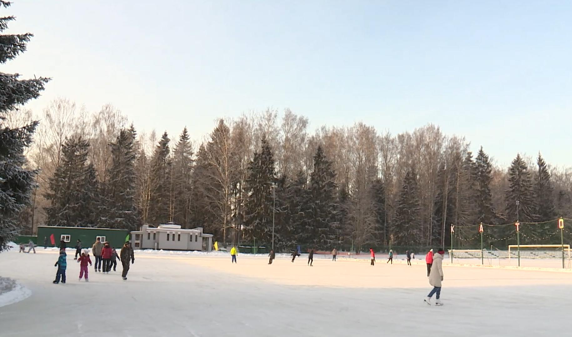 Тропаревский парк зимой