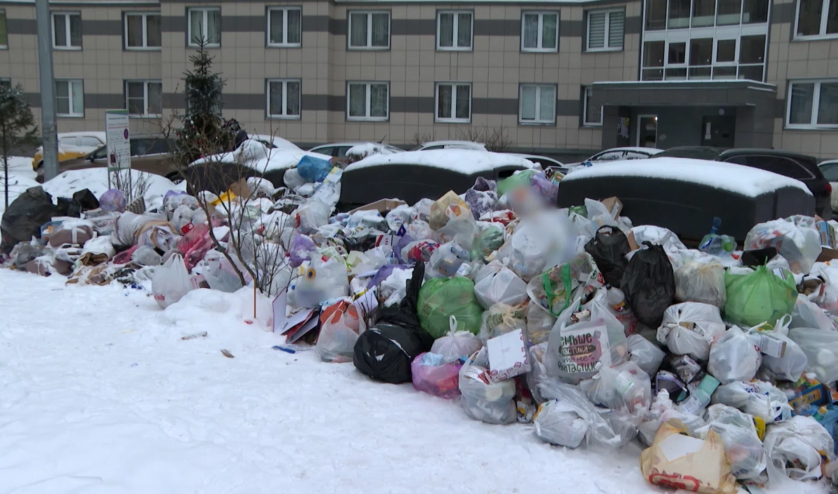 Петербуржцы смогут вернуть деньги за некачественную уборку мусора - tvspb.ru