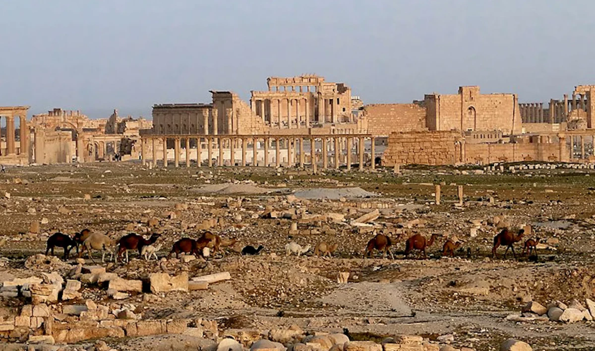 Российские специалисты начали реставрировать древнюю триумфальную арку в Пальмире - tvspb.ru