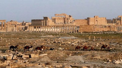 Российские специалисты начали реставрировать древнюю триумфальную арку в Пальмире