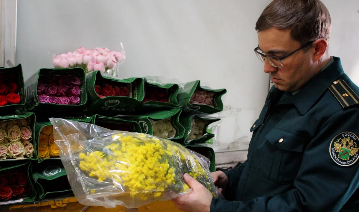 Почти 10 тонн цветов завезли в Петербург к 8 марта - tvspb.ru