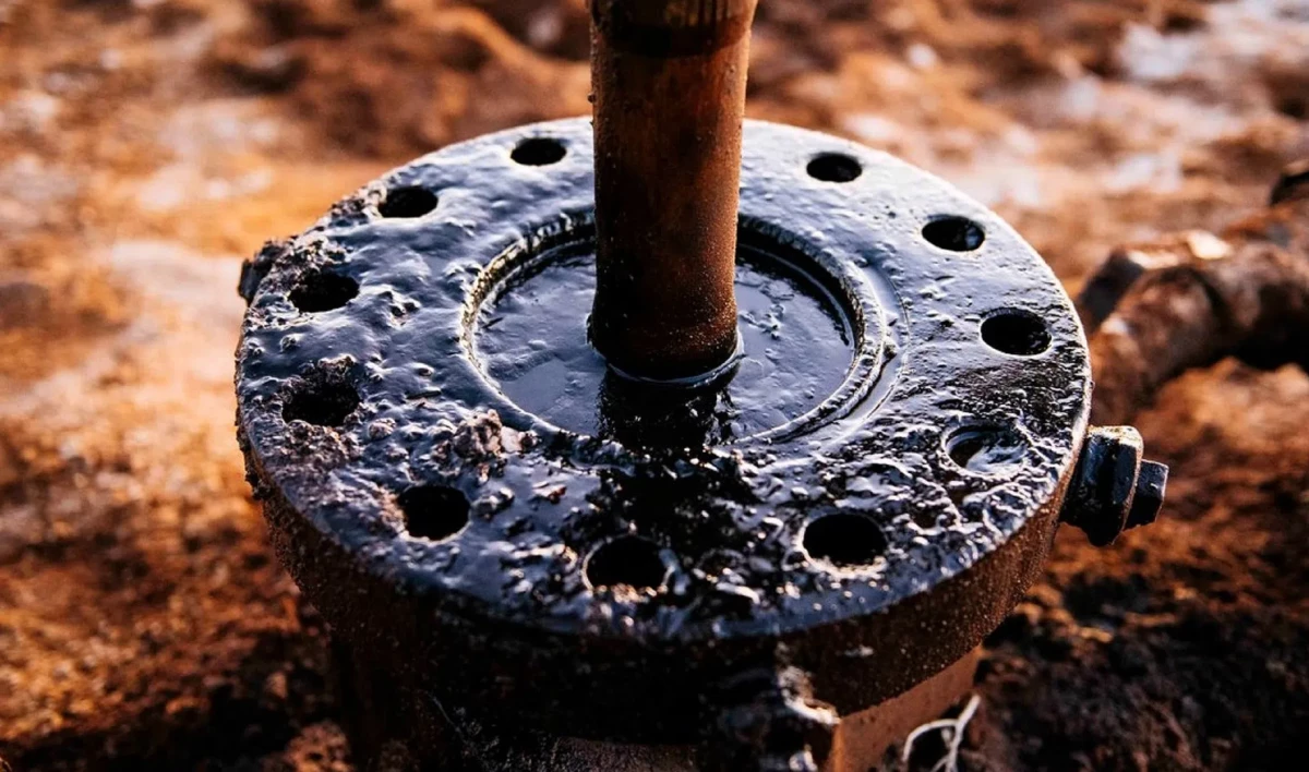 В США отложили голосование по запрету импорта нефти из России - tvspb.ru