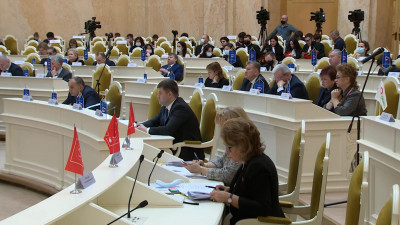 Анна Митянина представила в ЗакСе доклад о работе детского уполномоченного в 2020 году