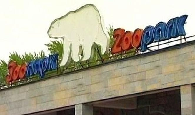 Ленинградский зоопарк отмечает день рождения - tvspb.ru