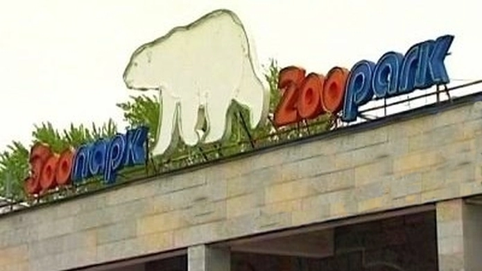 Ленинградскому зоопарку подарили 4 обезьян и броненосца - tvspb.ru