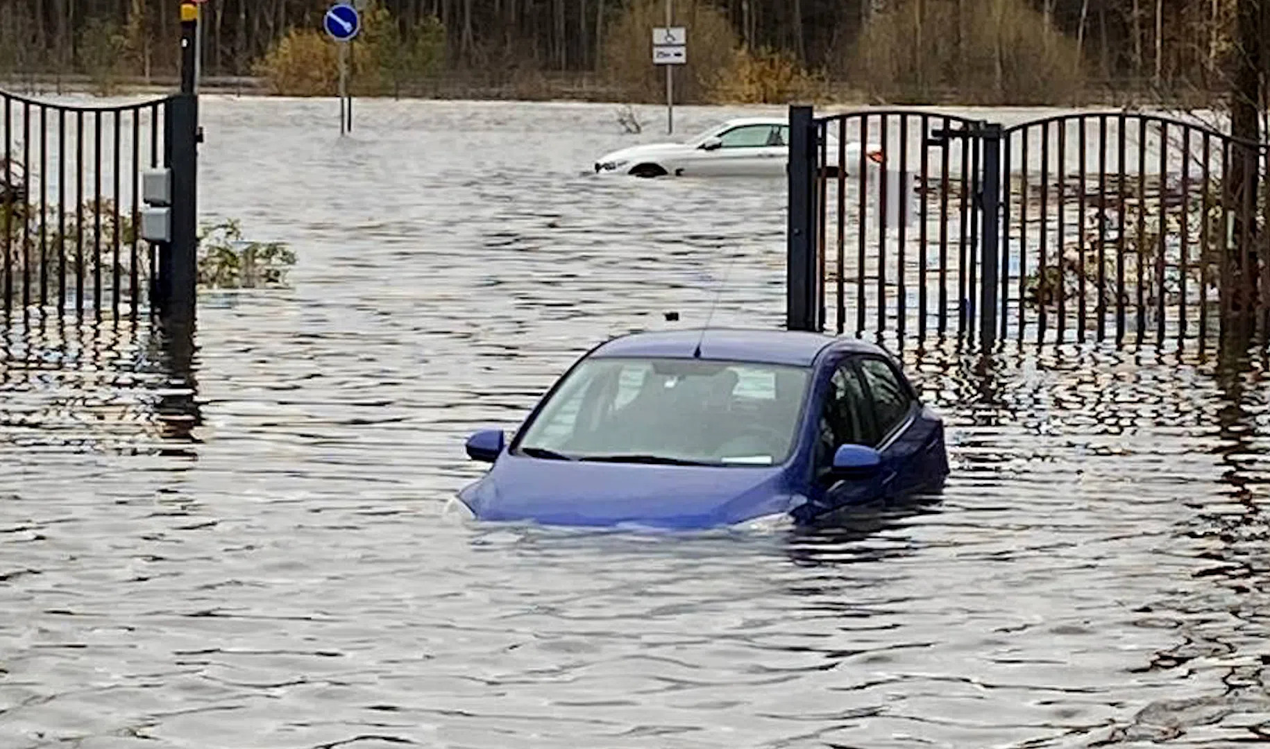 Затопление авто. Сестрорецк наводнение 2021. Наводнение в Сестрорецке. Сестрорецк затопило. Потоп в Сестрорецке.