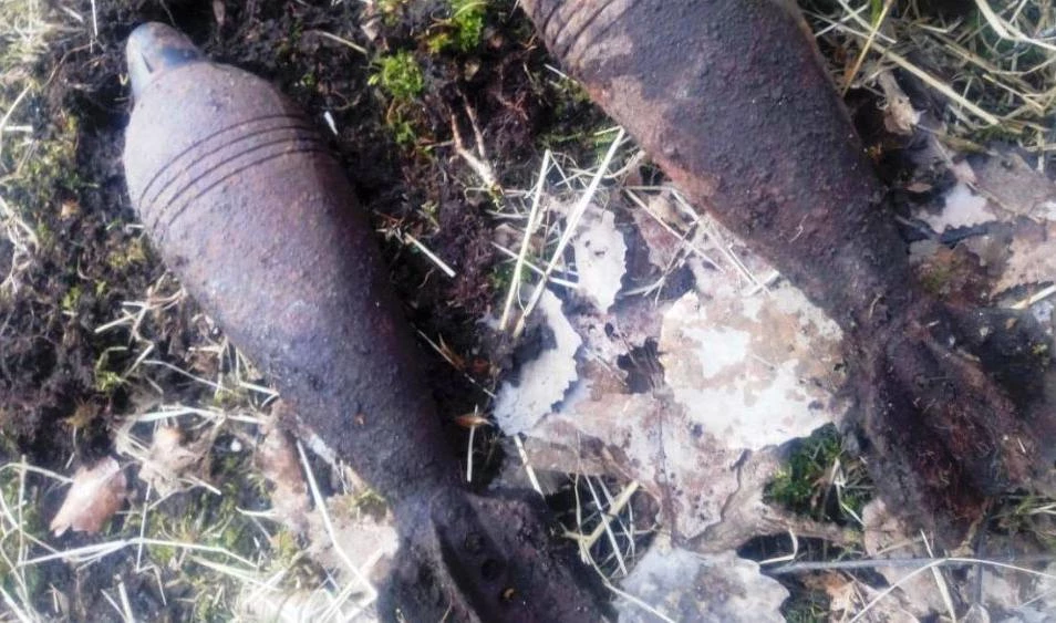В Приморском районе нашли боеприпасы времен войны - tvspb.ru