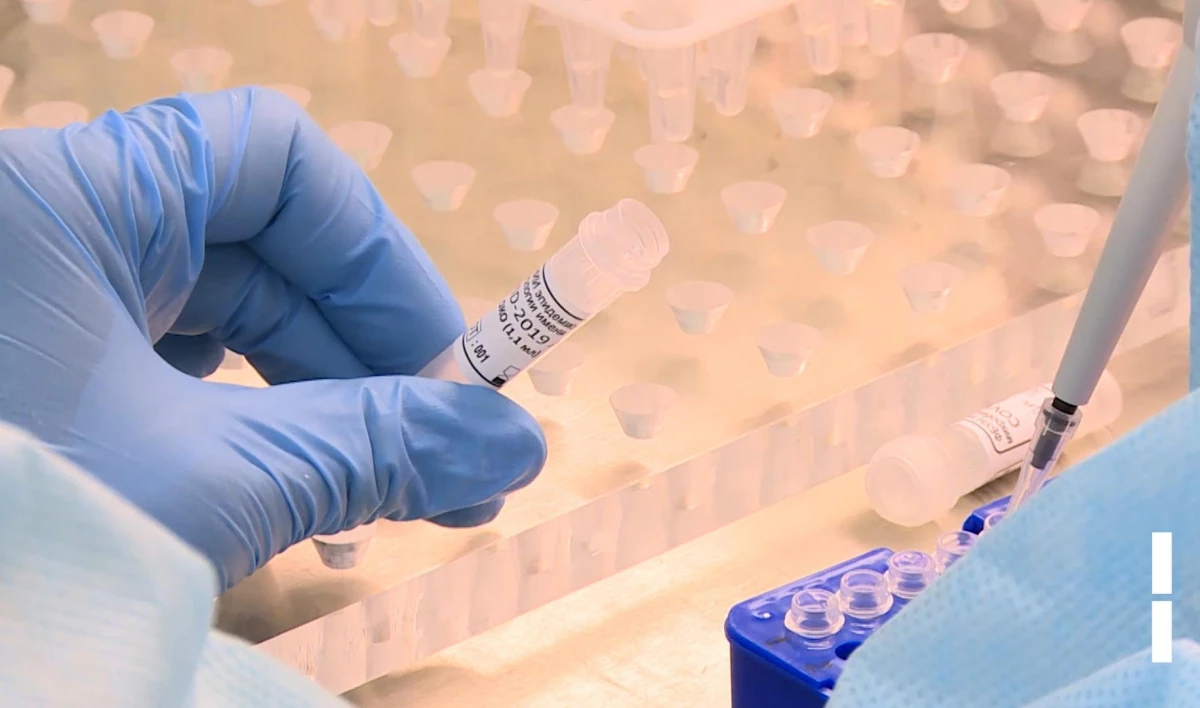 Тесты на коронавирус сдали еще более 24 тысяч петербуржцев - tvspb.ru