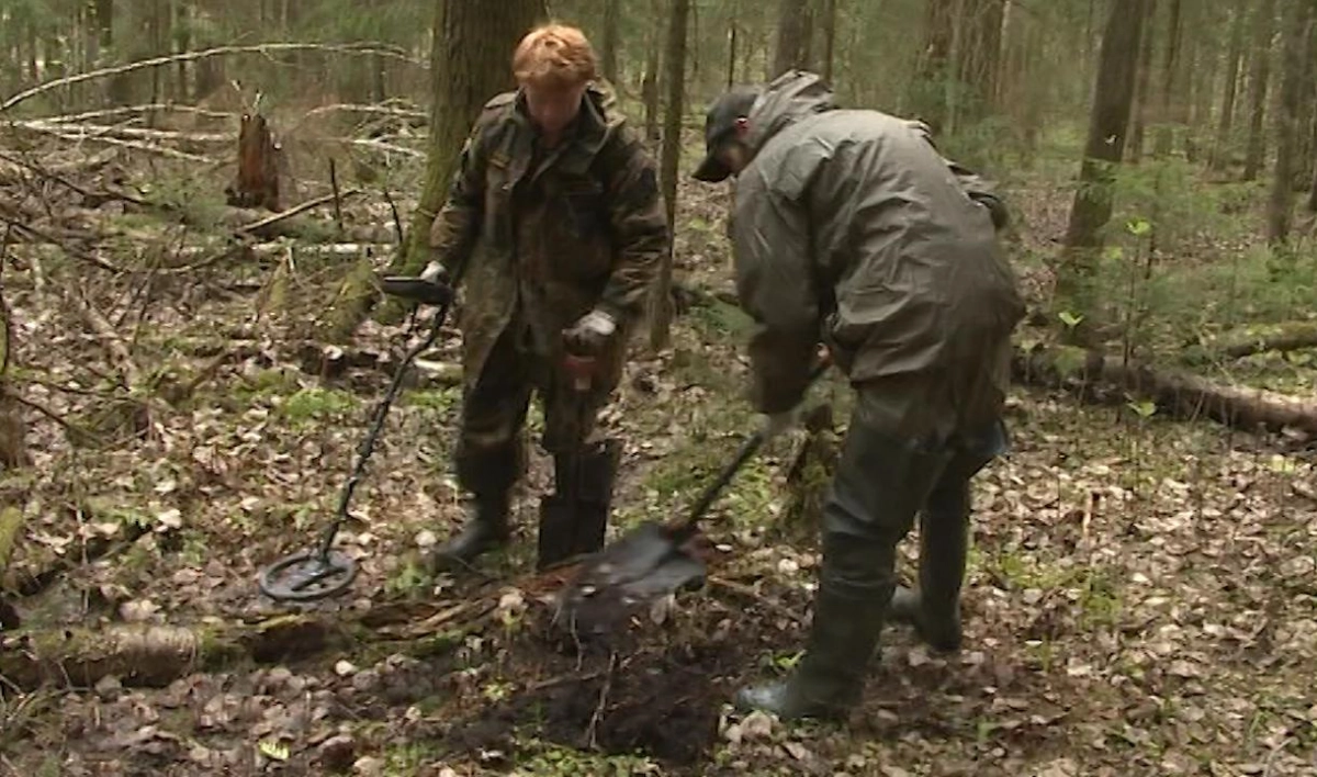 В Петербурге поисковые движения получат информационную и финансовую поддержку от города - tvspb.ru