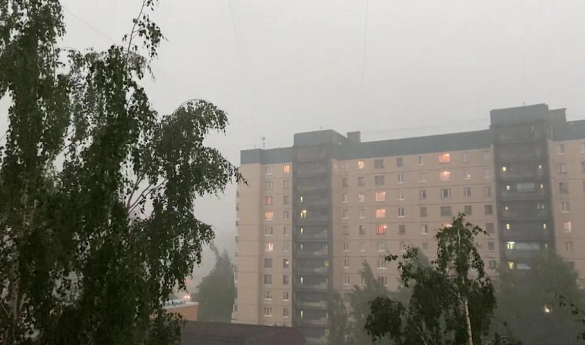В центре Петербурга закрыли сады и скверы из-за штормового ветра - tvspb.ru