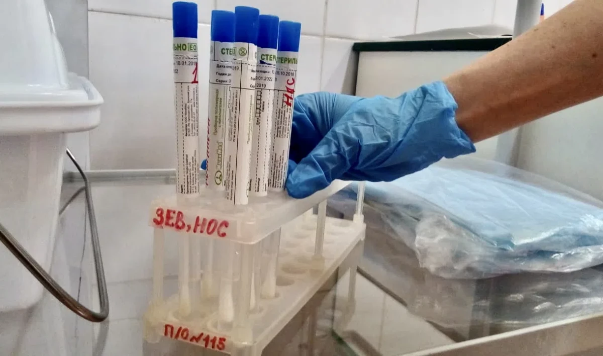 Ученые определили, у кого наибольшее количество антител к COVID - tvspb.ru