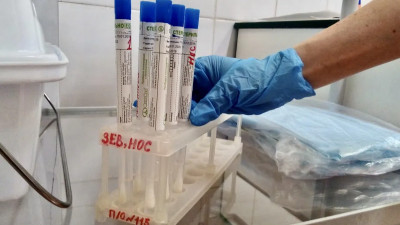 Болельщики сборной Финляндии вернулись из Петербурга с коронавирусом