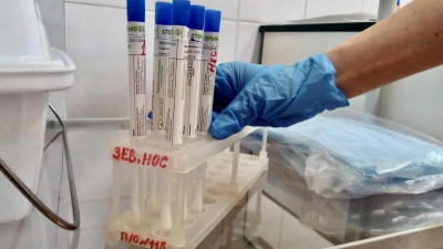 Еще более 20 тысяч человек сдали тесты на COVID в Петербурге