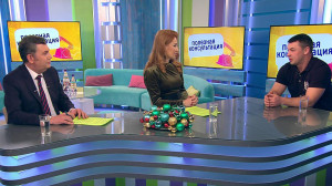 Собаки в большом городе. Консультация кинолога