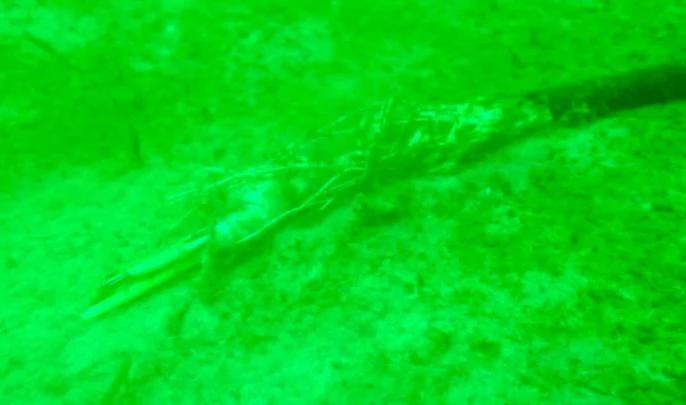 Со дна Балтийского моря пропала немецкая подводная обсерватория - tvspb.ru