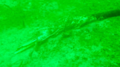 Со дна Балтийского моря пропала немецкая подводная обсерватория